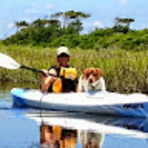 Meet your Posher, Laurie